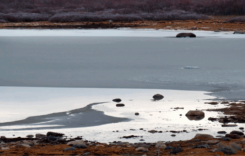 How Many Dead Bodies Have Been Found in Lake Mead