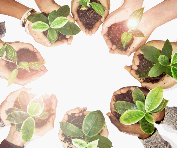 What is Business Environment
