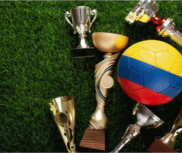 What is the National Sport of India