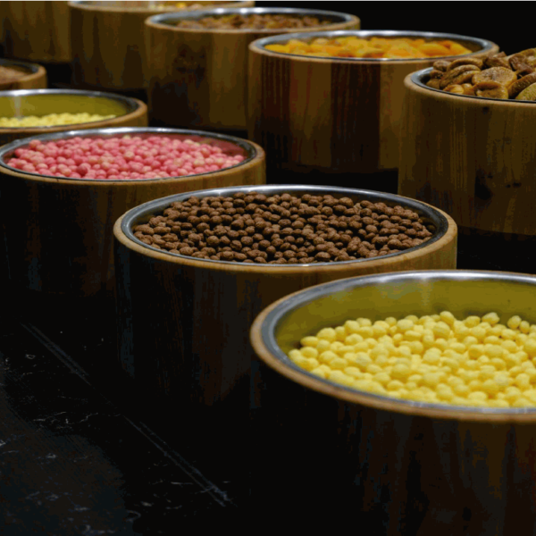 rajkotupdates.news : ruchi soya to be renamed patanjali foods company board approves stock surges