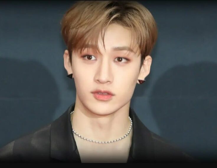 Bang Chan Net Worth