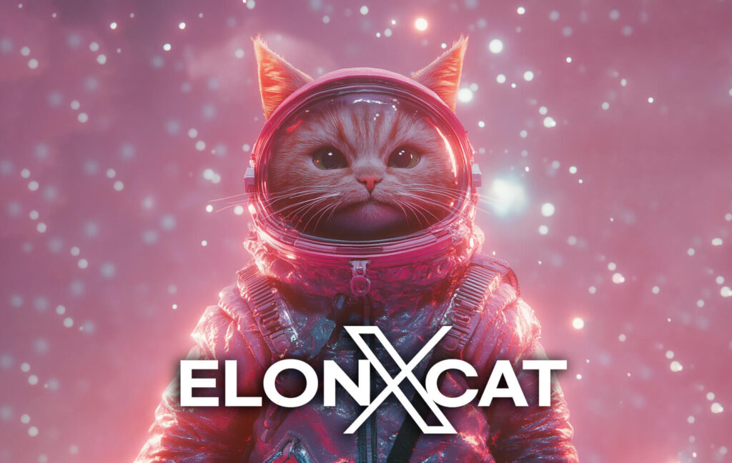 elonxcat