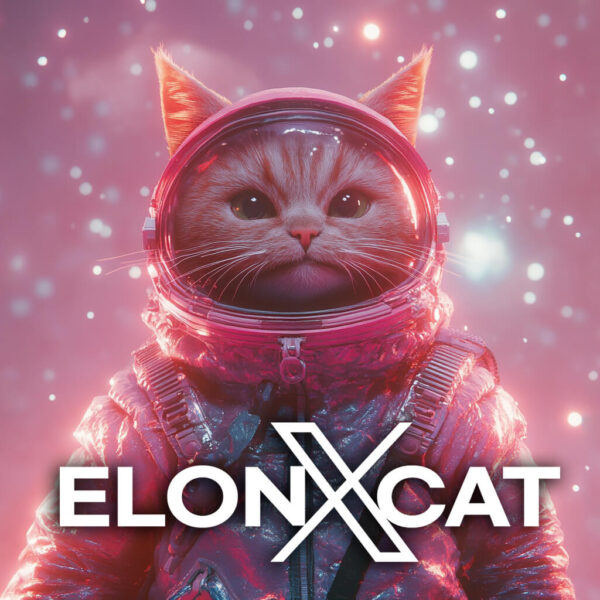 elonxcat