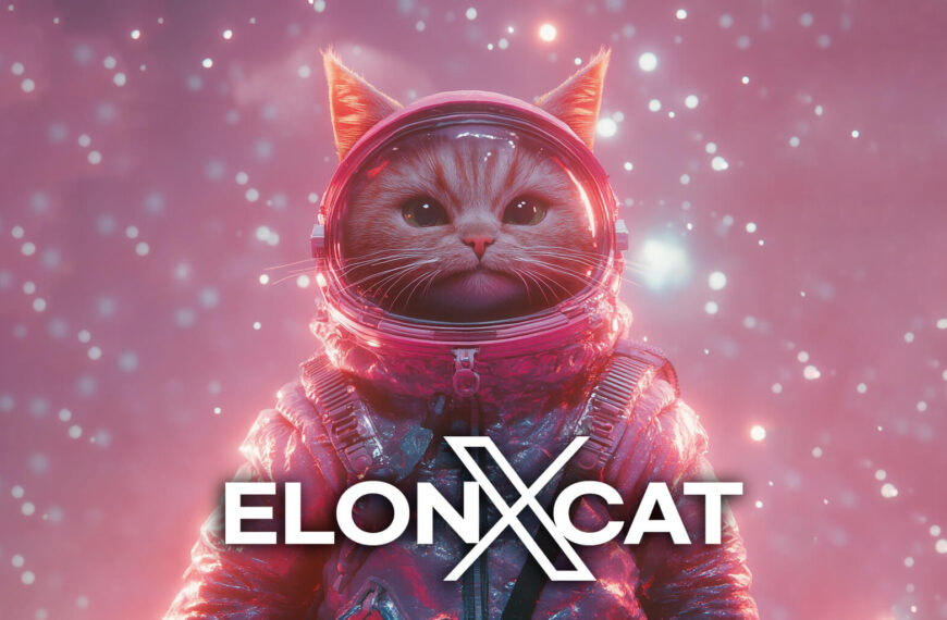 elonxcat