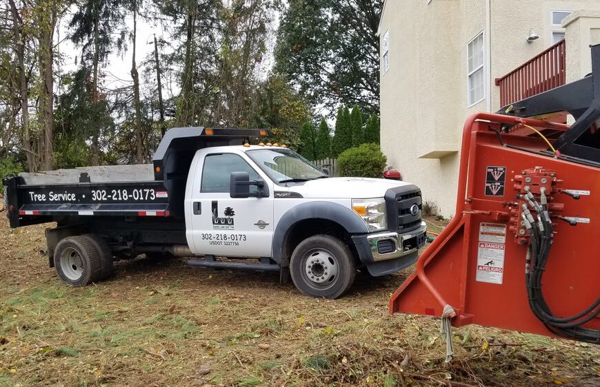 Top-Notch Lawn Care Services for a Beautiful Newport Landscape